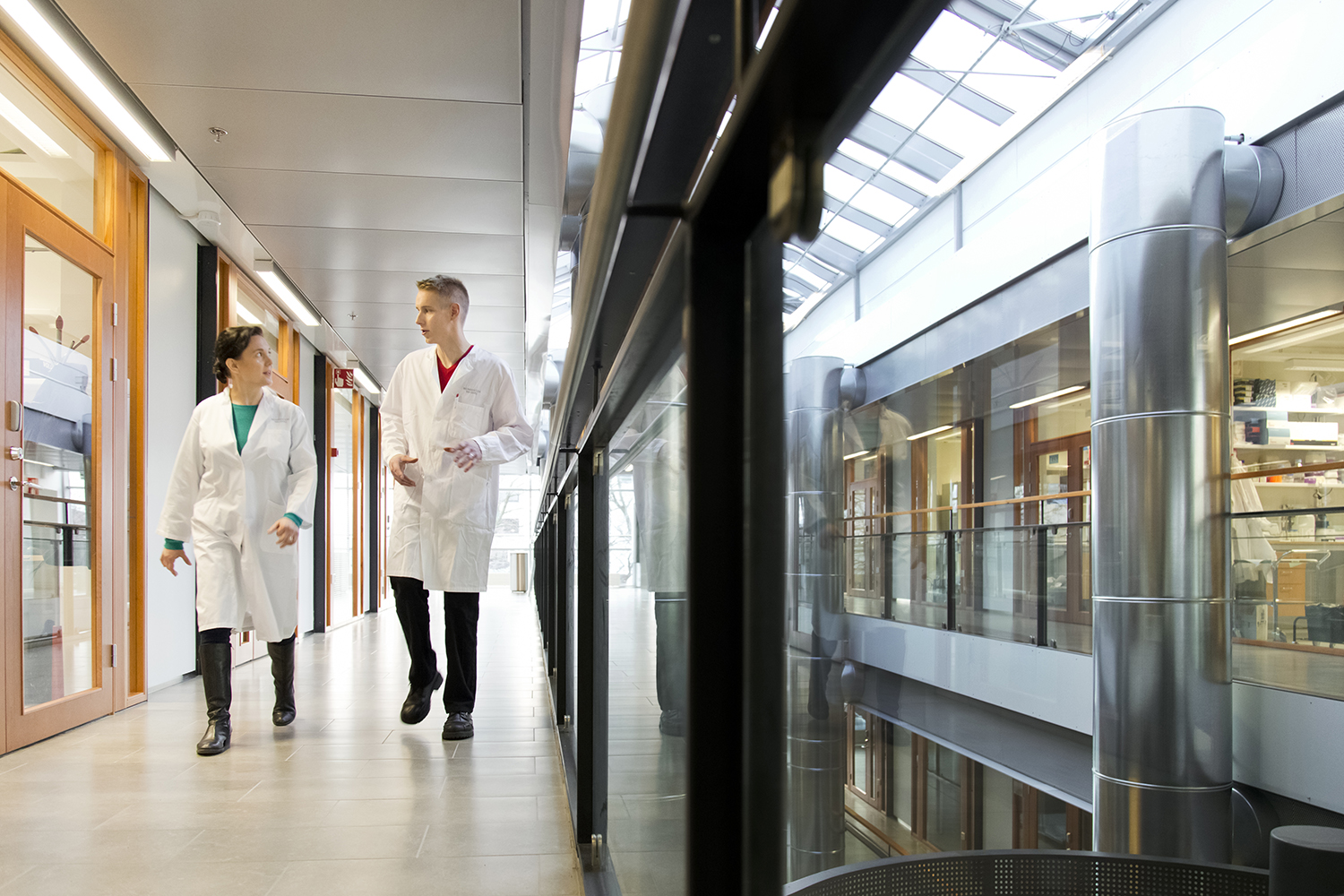 Kaksi valkoiseen takkiin pukeutunutta henkilöä kävelemässä Biomedicumin käytävällä