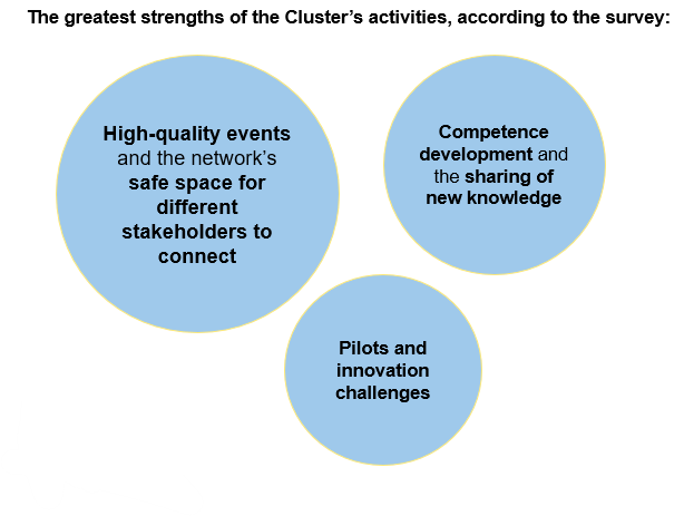 The greatest strengths of the Cluster's activities, according to the survey, listed.