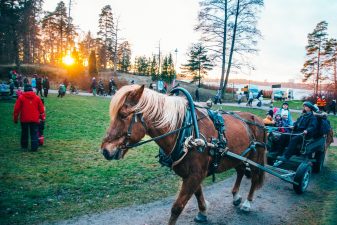 Lapsi ratsastaa hevosella Seurasaaressa.